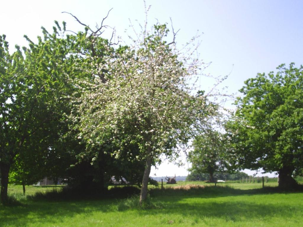 Chambres D'Hote Honey Orchard Farm Vessey Экстерьер фото