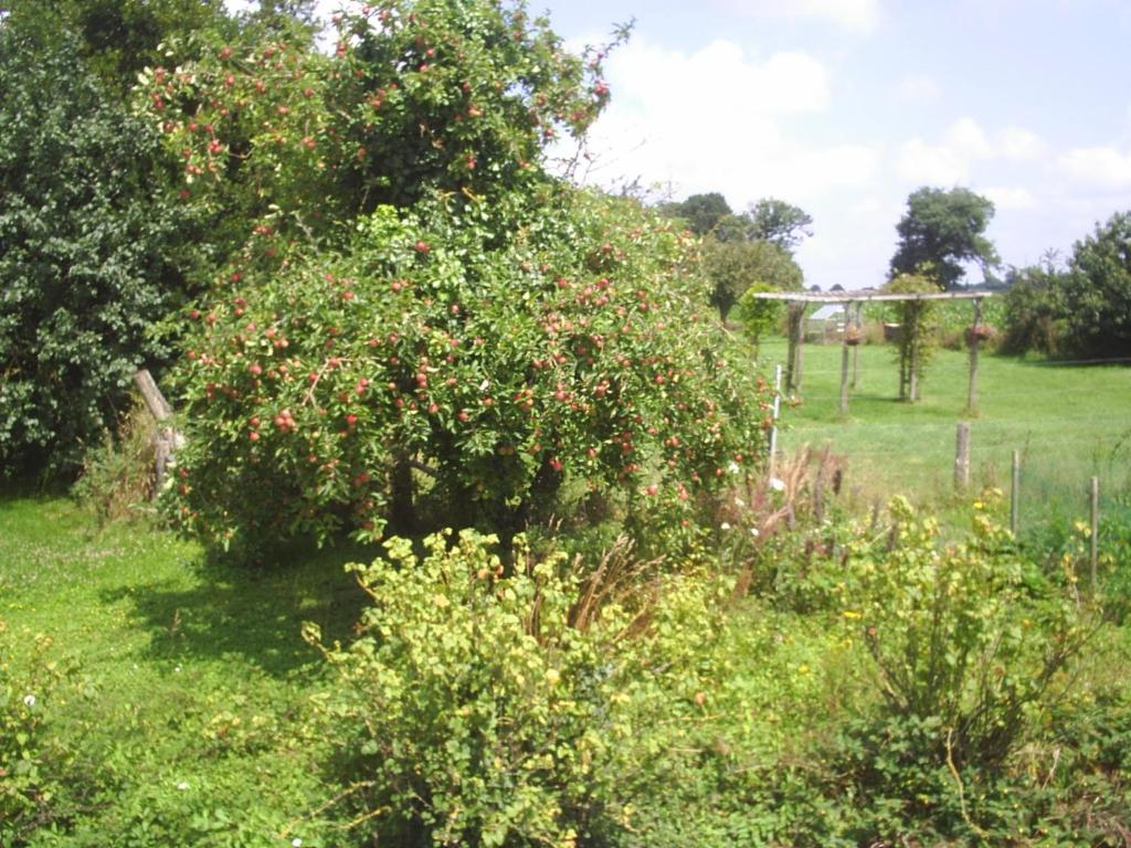 Chambres D'Hote Honey Orchard Farm Vessey Экстерьер фото